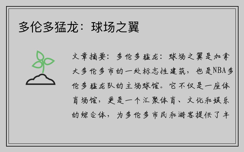 多伦多猛龙：球场之翼