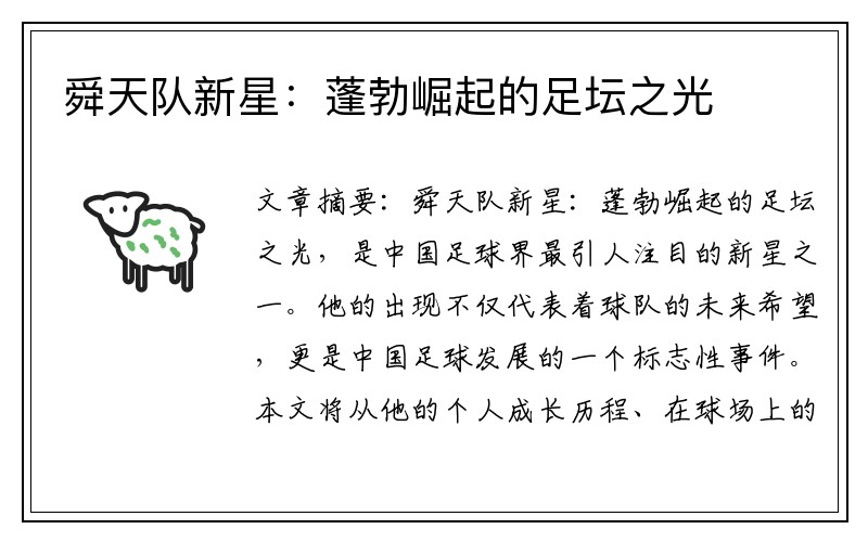 舜天队新星：蓬勃崛起的足坛之光