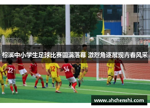 棕溪中小学生足球比赛圆满落幕 激烈角逐展现青春风采