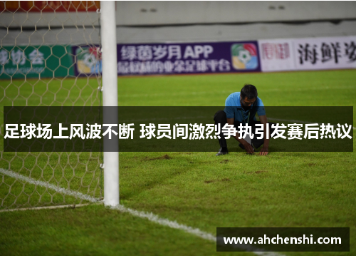 足球场上风波不断 球员间激烈争执引发赛后热议
